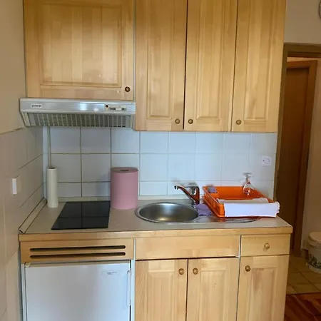 Apartma Ajdovka Rogla Apartment Vitanje